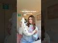 Rare jellycat unboxing #jellycat