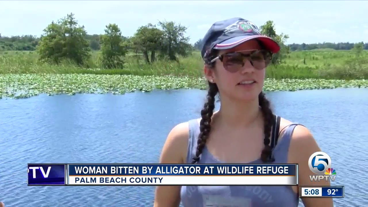 alligator attack 2019 Woman recovers from gator bite