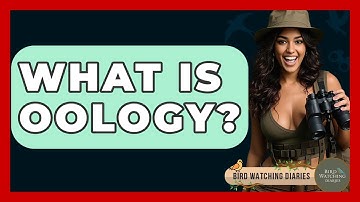What Is Oology? - Bird Watching Diaries