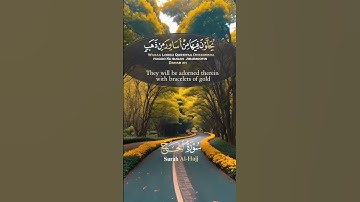 سورة الحج #قرآن #اكسبلور #المصحف #دويتو #راحة_ #القزابري #تيك_توك #العظماء #duet #الرحمن