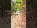 10 Best places to visit in Purulia ❤️ #purulia #nature #videography #mobilevideography #journey