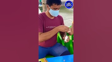 Biofloc Fish Farming Practical Training At Farm #shorts #bioflocfishfarming