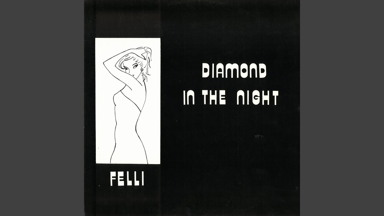 Diamond In The Night (Flemming Dalum Remix)
