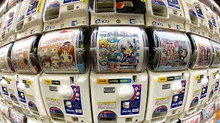 Gachapon: Capsule Toy Adventure in Akihabara ★ ONLY in JAPAN #14 秋葉原 ガチャポン