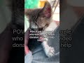 please this baby really needs your help #goviral #unitedstates #unitedstatesofamerica #donate