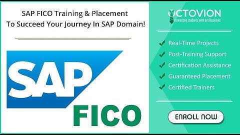 SAP FICO Training Demo Session - Octovion