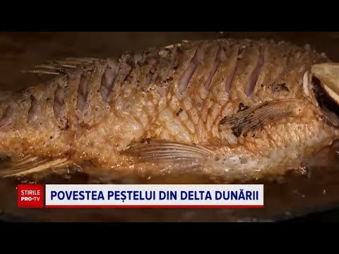 Video: Ce este un Delta E bun?