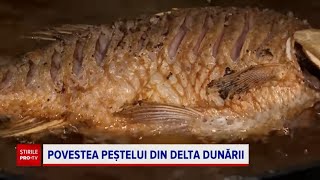 Cum a ajuns tradiția să fie transformată în afacere în Delta Dunării