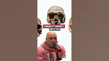 Tucker Carlson Exposes Why Evolution Is Not Real Joe Rogan Experience 