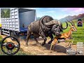 Animal Cargo Truck Driving Game 3D - Animal Transport Cargo Truck 2024 - Android Gameplay