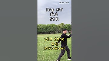 [Chinese words] Landing, take off, still, movement, retreat, go forward, Learn Chinese with Bob