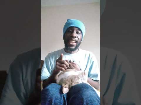 Rhody singing a