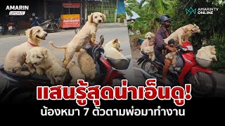 เอ็นดูสุดๆ ลุงขี่วินเมืองราชบุรี หอบน้องหมา 7 ตัว นั่งรถทำงานไปไหนไปกัน | อมรินทร์อัปเดต