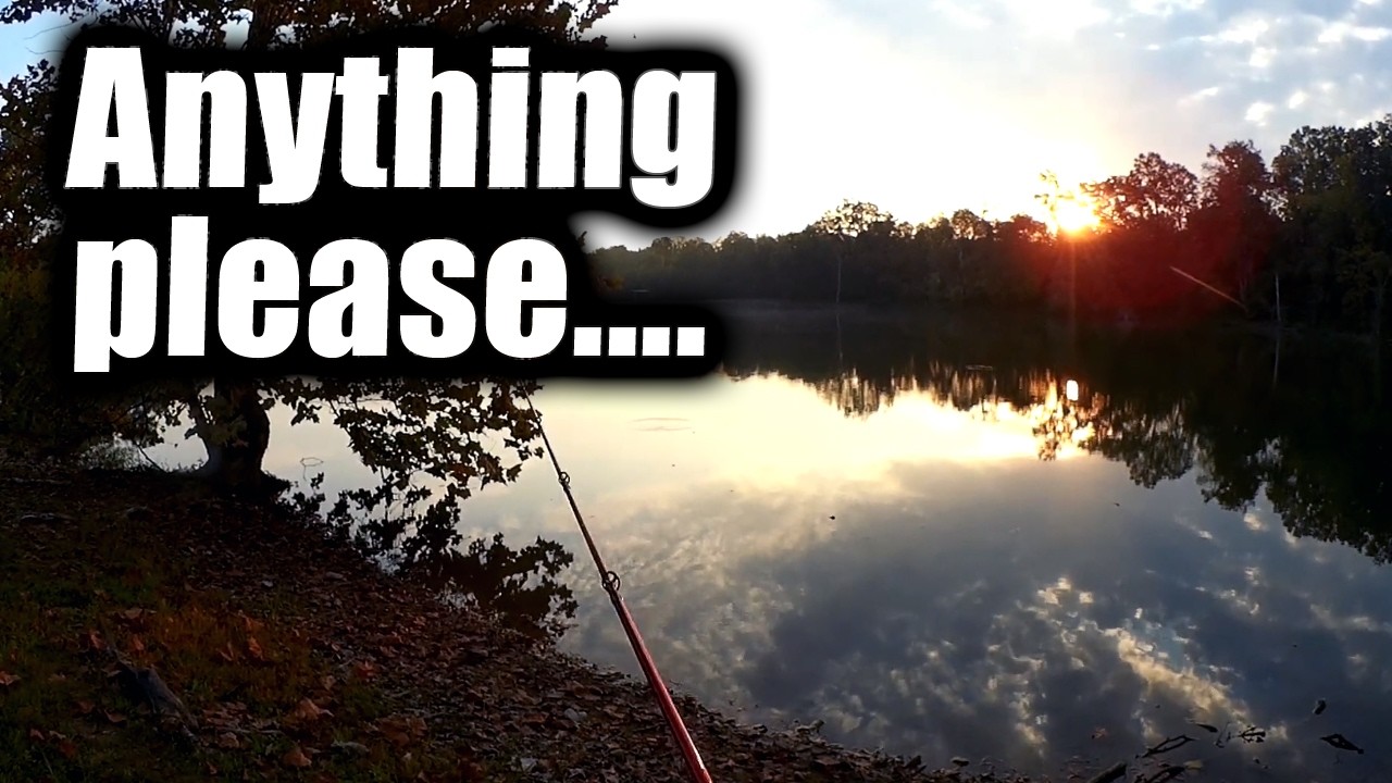 How To Catch Fish When You Are DESPERATE – Realistic Bank Fishing