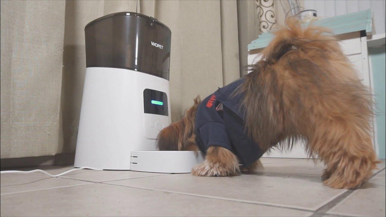 Wopet Patrol Automatic Pet Feeder Review How does the dog feeder
