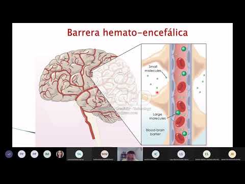 Vídeo: Neuroglia En El Cerebro Autista: Evidencia De Un Modelo Preclínico