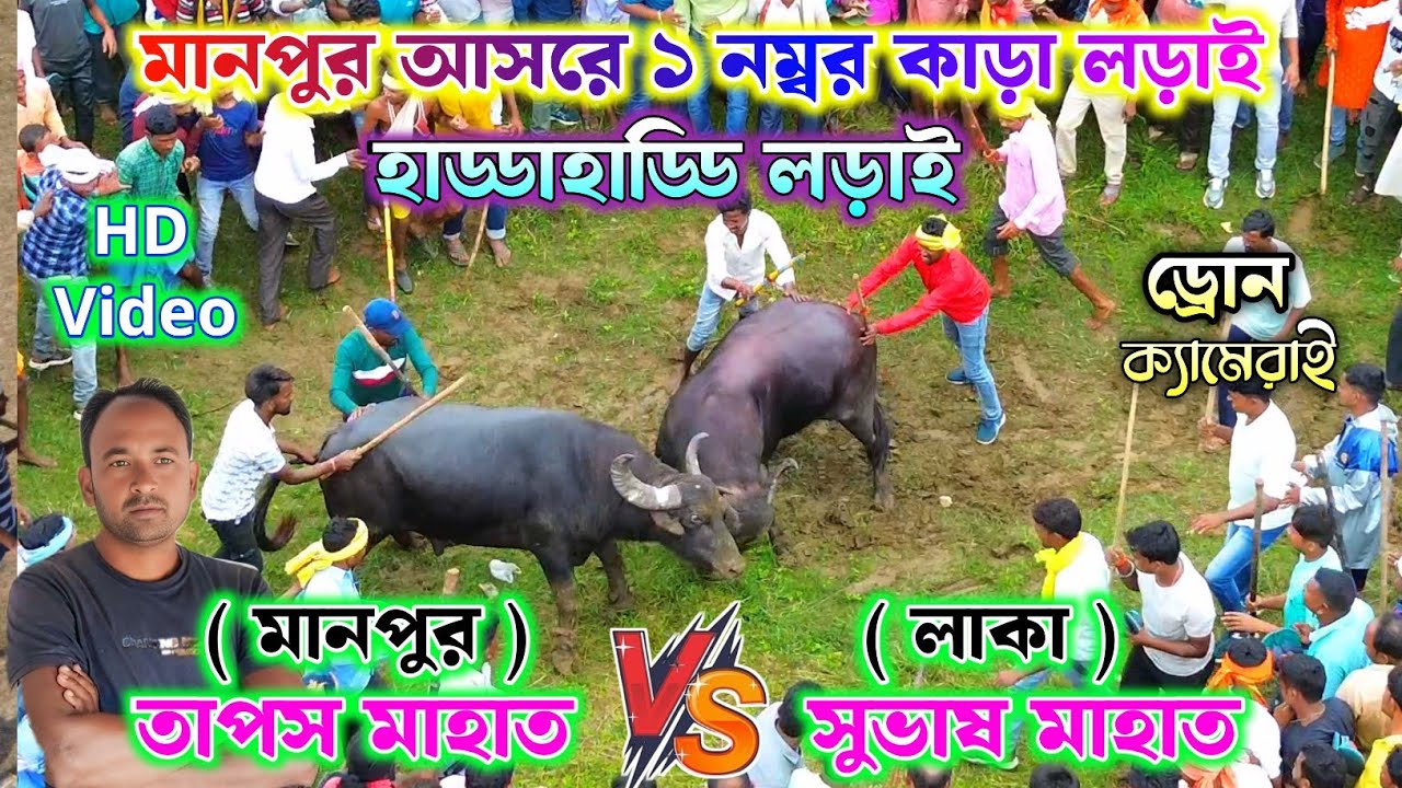 মানপুর আসরে ড্রোন ক্যামেরাই ১ নং কাড়া লড়াই !! তাপস মাহাত vs সুভাষ মাহাত লাকা 