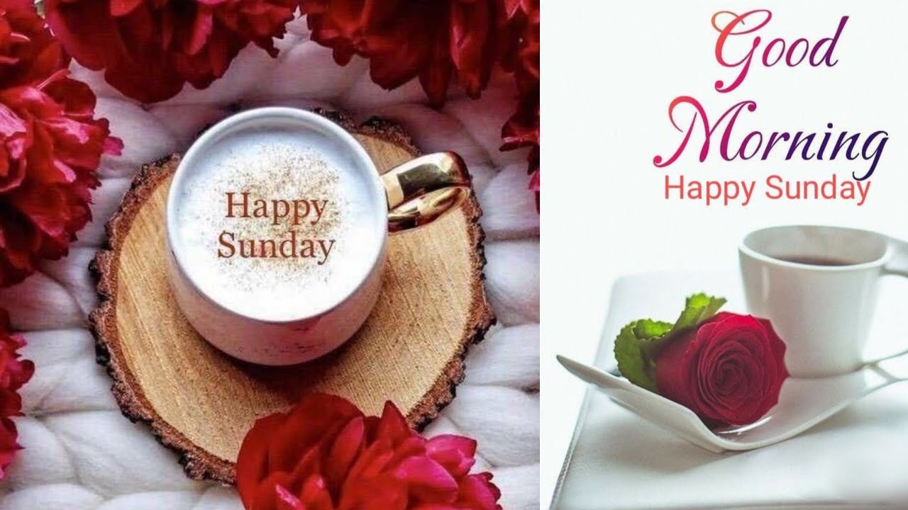 Good Morning, Happy Sunday (A Nice Day) - YouTube