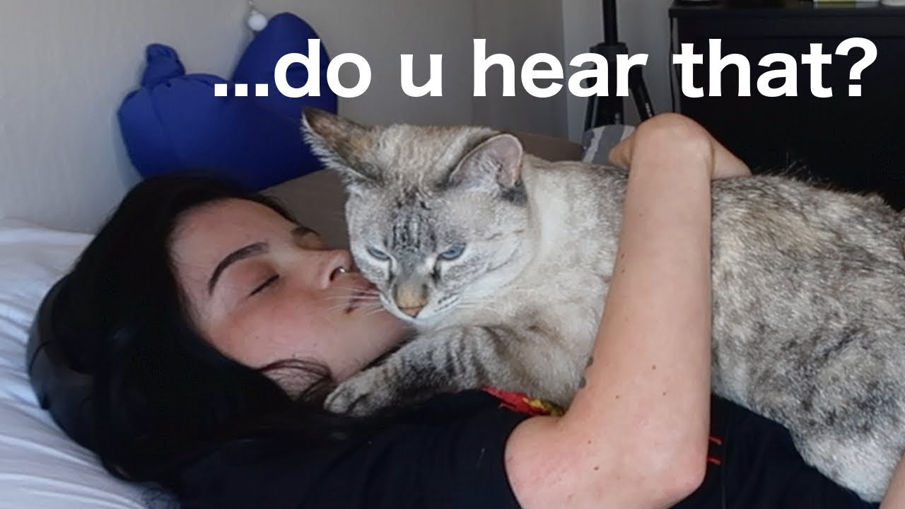 reacting to ASMR but i'm half deaf