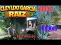 🐢 Cuidando dos Jabutis e Capinando o Mato | Vida Simples no Interior 🌿