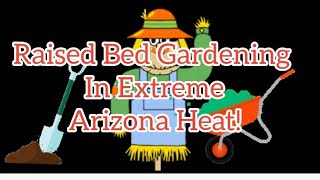 What's in my garden? Plans for my garden! Extreme gardening in the Arizona heat! 🌞🥕🌽🥒🌞