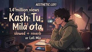Kash Tu Mila Hota - Lofi ( slowed and reverb ) Code Blue | Jubin Nautiyal | dkupsinger #7x7