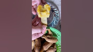 Người Ba Tư ăn trái chuối rất ngộ