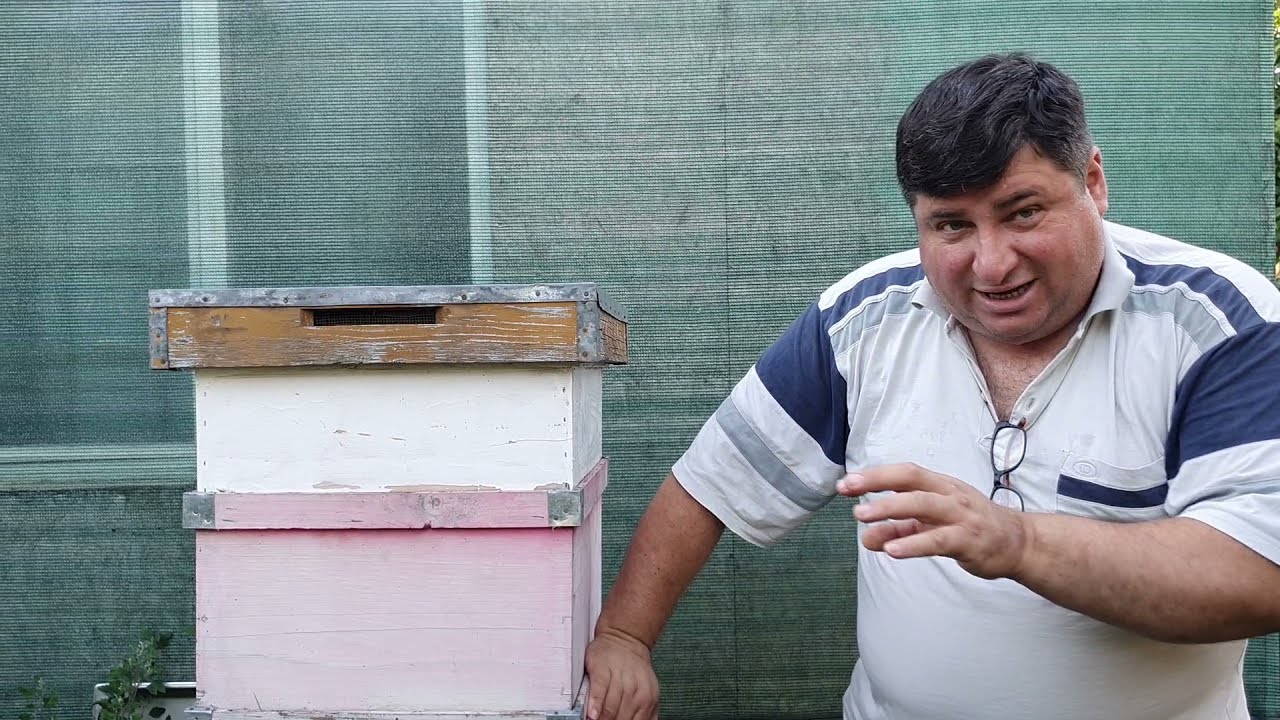 APICULTURA URBANA ep.60 . De ce nu mă înțeapă albinele , secretul unui fum corect.