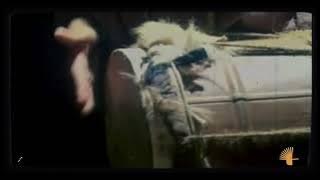 #Heydoo Hedayati Ghatar e Khali Live هیدو