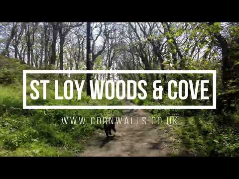 St Loy Woods and Cove walk