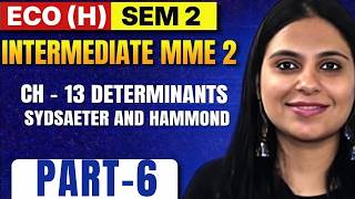 13.6 Inverse of Matrix | Ch 13 Sydsaeter & Hammond | SEM 2 MME | BA Eco (H) | Intermediate MME