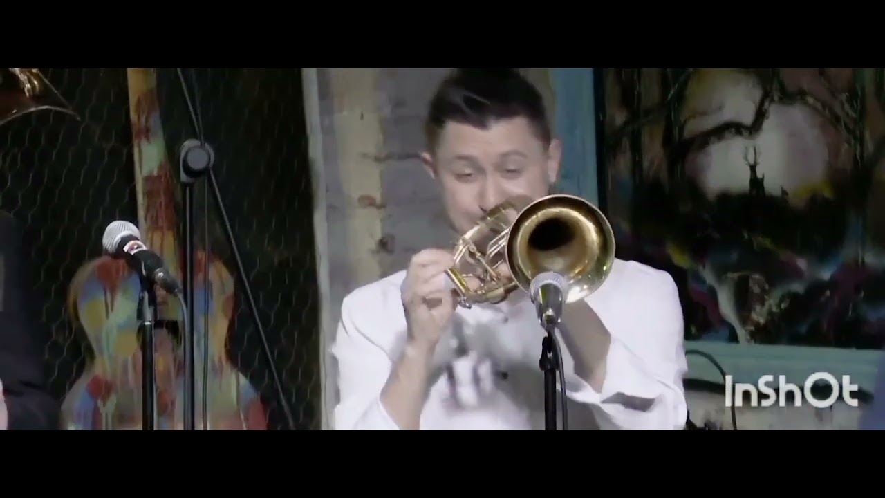 Bogdan Nikolic Donja Orkestar ,,Budilica