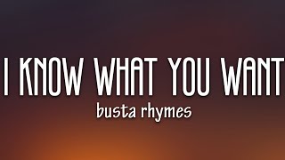 Busta Rhymes, Mariah Carey - I Know What You Want (Lyrics) ft. Flipmode Squad  | 1 Hour