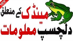 Facts About Frogs | Information About Frogs | Frog Facts | interesting About Frogs | Hidden Secrets