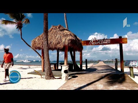 #ნაშუადღევს კარიბული არდადეგებისთვის