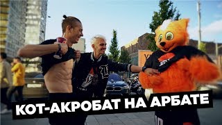 КОТ BY В МОСКВЕ НА АРБАТЕ!!! BY ШОУ от БАБЫЯГИ???