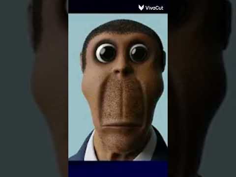 تغيرات ابو النجا
