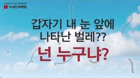 누네안과병원 비문증? 날파리증?