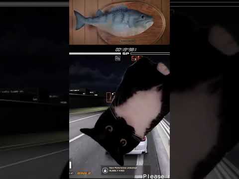 Damn You Maxwell Datboiantix Arcade Tokyo Xtreme Racer Txr