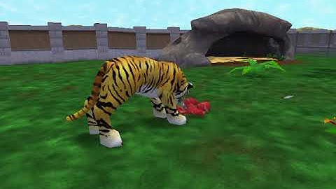 Zoo Tycoon 2 Bengal Tiger Gameplay