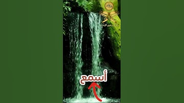 ﴿ يَا بُنَيَّ إِنَّهَا إِن تَكُ مِثْقَالَ حَبَّةٍ مِّنْ خَرْدَلٍ#سورة_لقمان #ياسر_الدوسري #قرآن