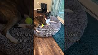 Muddy Mat Cloud Beds Are On Sale These Dog Beds Are So Good Pet Beds That You Can Completely