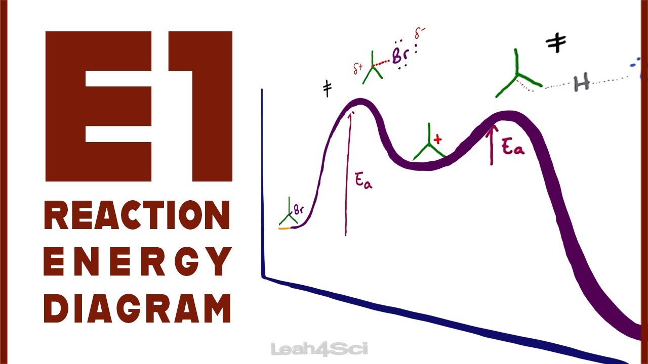 E1 Reaction Coordinate Energy Diagram - YouTube