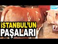İSTANBUL'UN PAŞALARI TEK TEK SATILIYOR... HİSSE SATIŞLARI DEVAM EDİYOR...