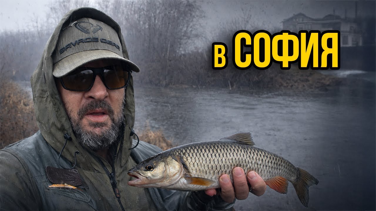 КЪДЕ и КАК ловя зимни кефали в София? | р. Блато