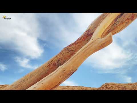 الرعي الجائر