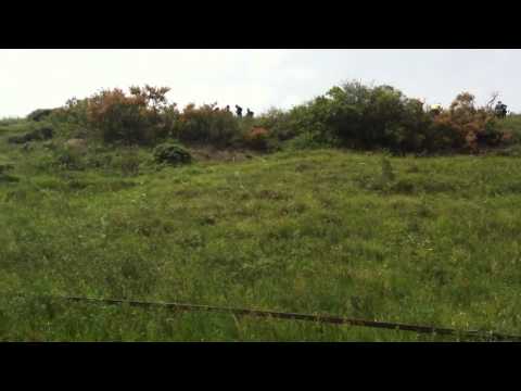 დავით გარეჯა