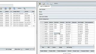 3Gtms DEMO   Embedded Rating for Easy Load Planning