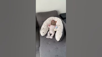 Le Rat et Bébé rat 🍼 🐀 #lerat