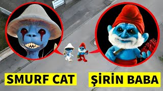 Smurf Cat Ve Şi̇ri̇n Baba Drone Kameralarina Yakalandi Gerçek Hayatta